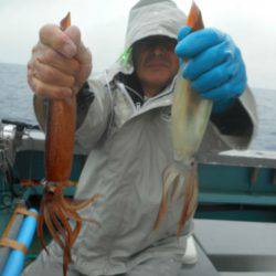大進丸（愛知） 釣果