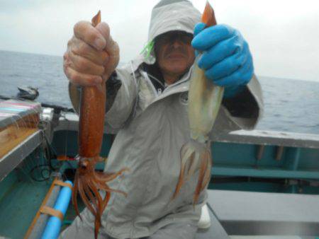 大進丸（愛知） 釣果