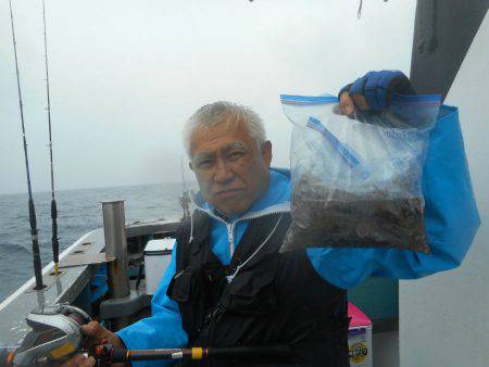 大進丸（愛知） 釣果