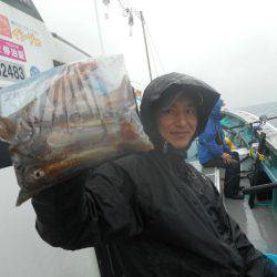 大進丸（愛知） 釣果