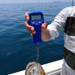 フィッシングボートACE(エース) 釣果