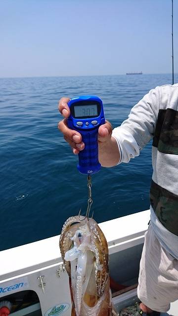 フィッシングボートACE(エース) 釣果