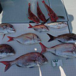 フィッシングボートACE(エース) 釣果