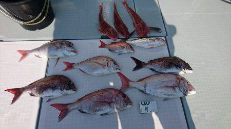 フィッシングボートACE(エース) 釣果