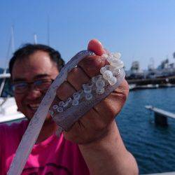 フィッシングボートACE(エース) 釣果