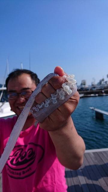 フィッシングボートACE(エース) 釣果