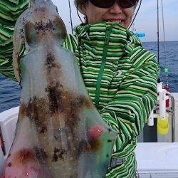 フィッシングボートACE(エース) 釣果