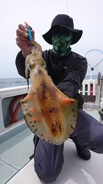 フィッシングボートACE(エース) 釣果