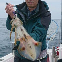 フィッシングボートACE(エース) 釣果