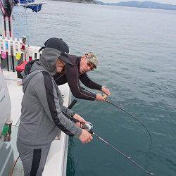 フィッシングボートACE(エース) 釣果