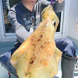 フィッシングボートACE（エース） 釣果