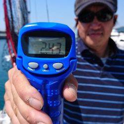 フィッシングボートACE(エース) 釣果