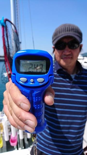 フィッシングボートACE(エース) 釣果