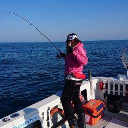 フィッシングボートACE(エース) 釣果