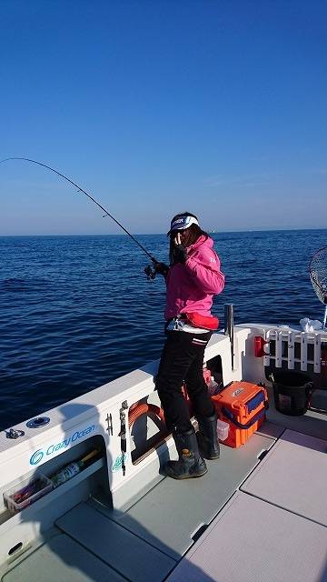 フィッシングボートACE(エース) 釣果