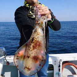 フィッシングボートACE(エース) 釣果