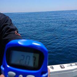 フィッシングボートACE(エース) 釣果