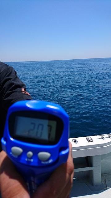 フィッシングボートACE(エース) 釣果