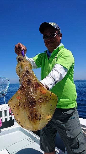 フィッシングボートACE（エース） 釣果