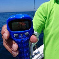 フィッシングボートACE(エース) 釣果