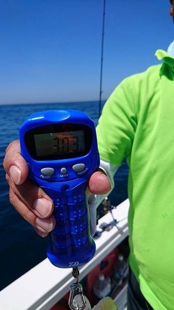 フィッシングボートACE(エース) 釣果