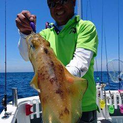 フィッシングボートACE(エース) 釣果