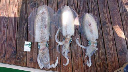 フィッシングボートACE(エース) 釣果