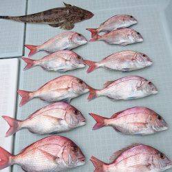 フィッシングボートACE（エース） 釣果