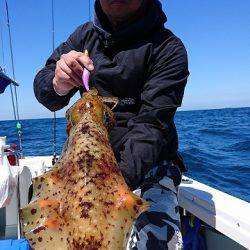 フィッシングボートACE（エース） 釣果