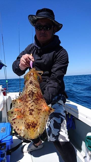 フィッシングボートACE（エース） 釣果