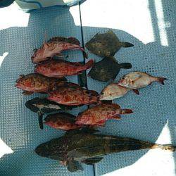 第二常豊丸 釣果