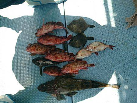 第二常豊丸 釣果