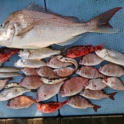 第二常豊丸 釣果