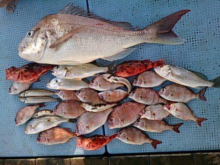 第二常豊丸 釣果