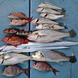 第二常豊丸 釣果