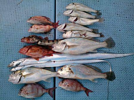 第二常豊丸 釣果