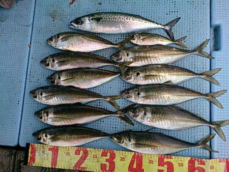 第二常豊丸 釣果