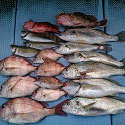 第二常豊丸 釣果