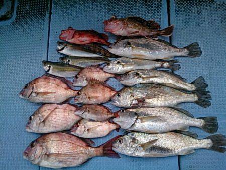 第二常豊丸 釣果