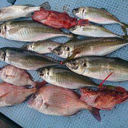 第二常豊丸 釣果