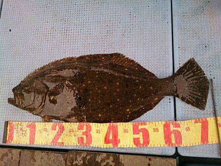 第二常豊丸 釣果