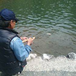 フィッシングエリア帝釈 釣果