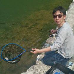 フィッシングエリア帝釈 釣果