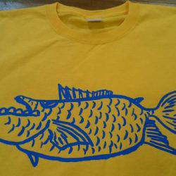 フィッシングエリア帝釈 釣果