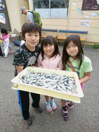 和歌山マリーナシティ釣り公園 釣果