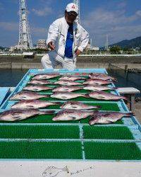 和歌山マリーナシティ釣り堀 釣果