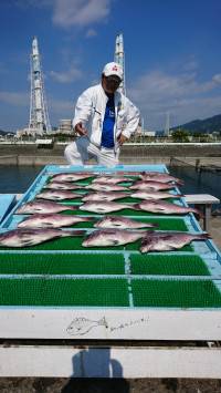 和歌山マリーナシティ釣り堀 釣果
