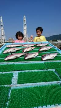 和歌山マリーナシティ釣り堀 釣果