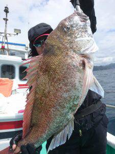 愛海丸 釣果