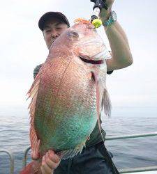 愛海丸 釣果